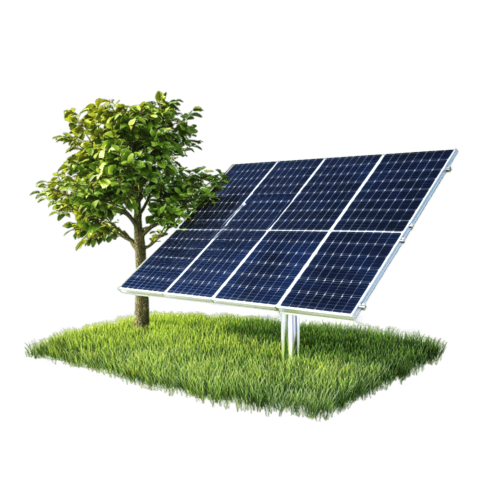Solar tree about us page